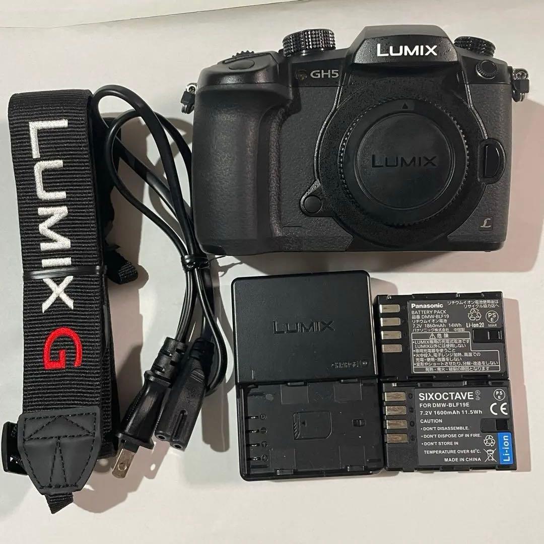 美品 ショット数172回 LUMIX GH5 バッテリー2個充電器
