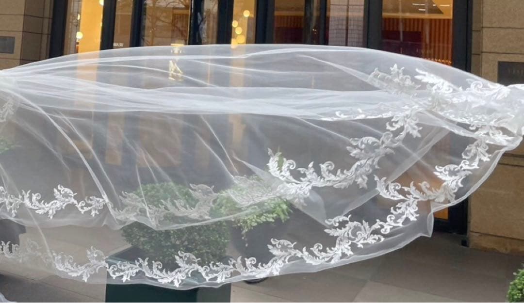 インポートウェディングベールDemetrios 約3mロングトレーン　匿名送込