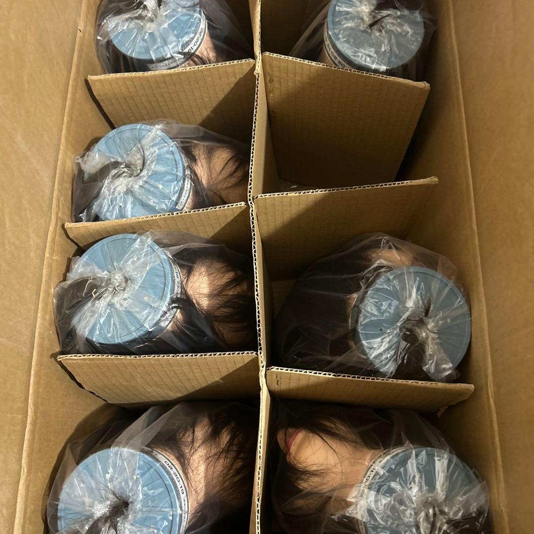国家試験用 カットウィッグ 15体 新品未使用