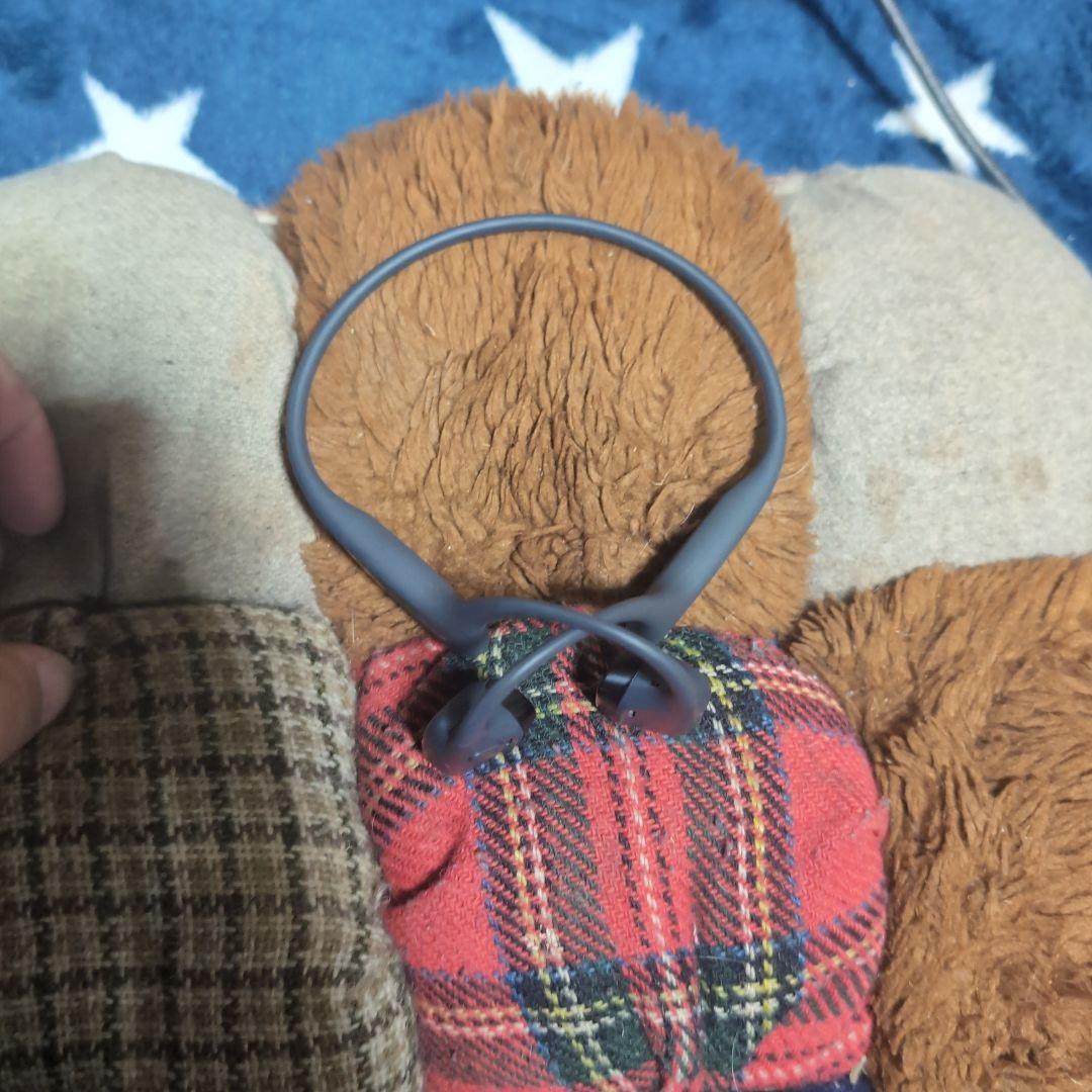 イヤホン Shokz openrun pro2