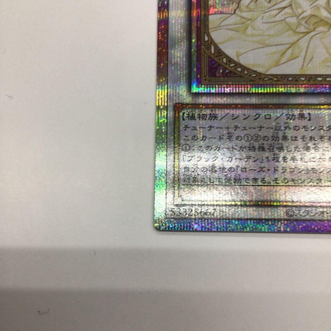 遊戯王　ガーデン・ローズ・メイデン　プリシク