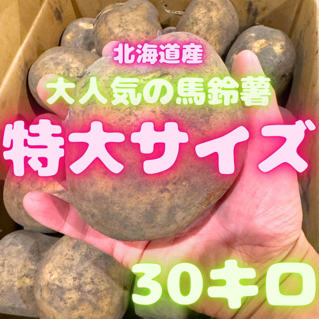ジャンボサイズ　数量限定　じゃがいも　09