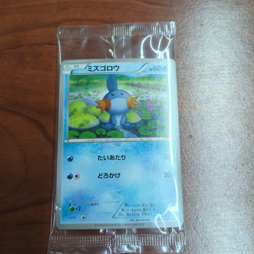 【未開封】ポケモンカード　ミズゴロウ　プロモ 109/XY-P