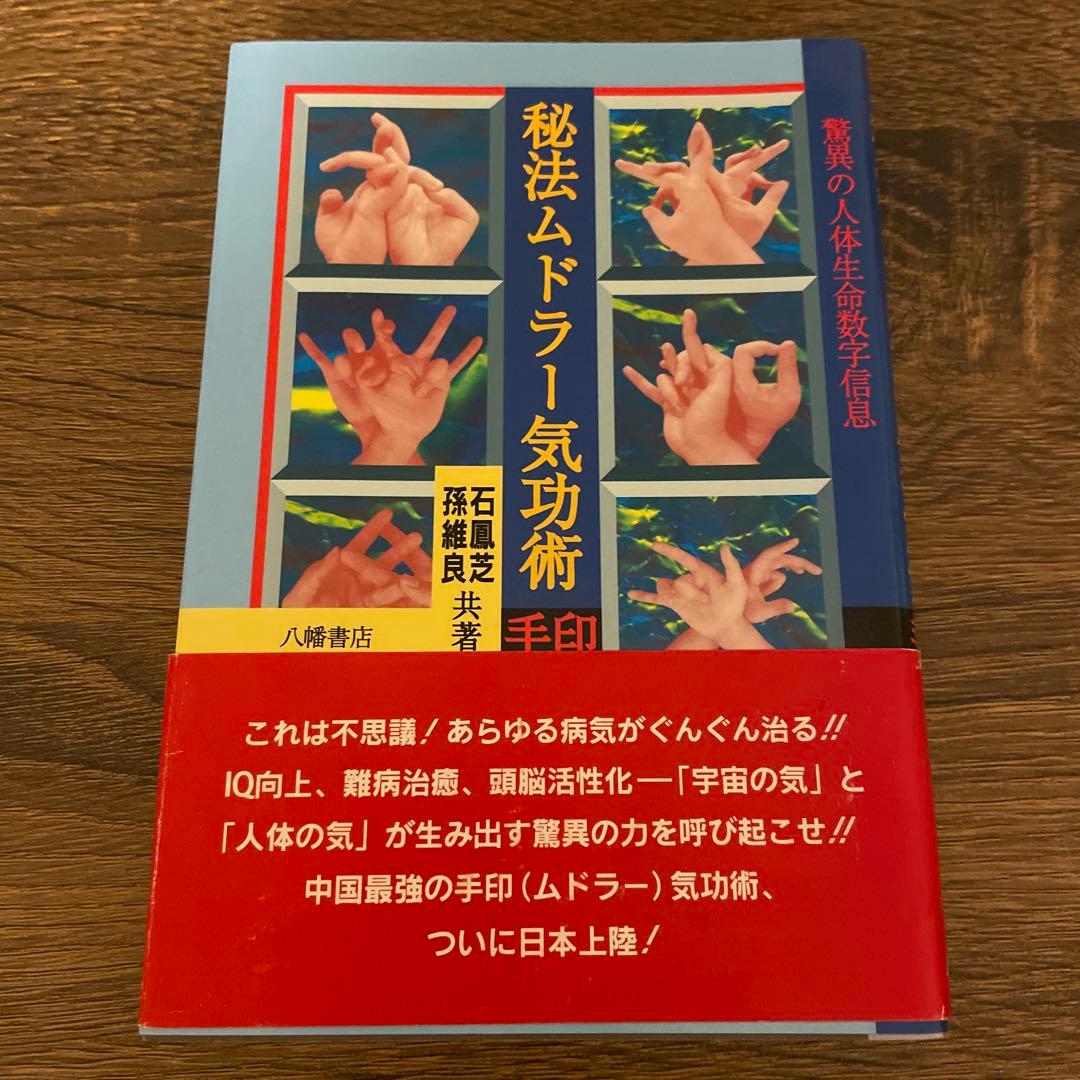 秘法ムドラー気功術