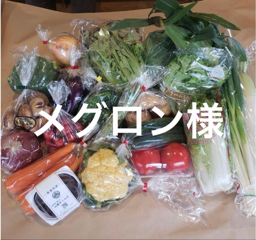 メグロン様 野菜セット いちご