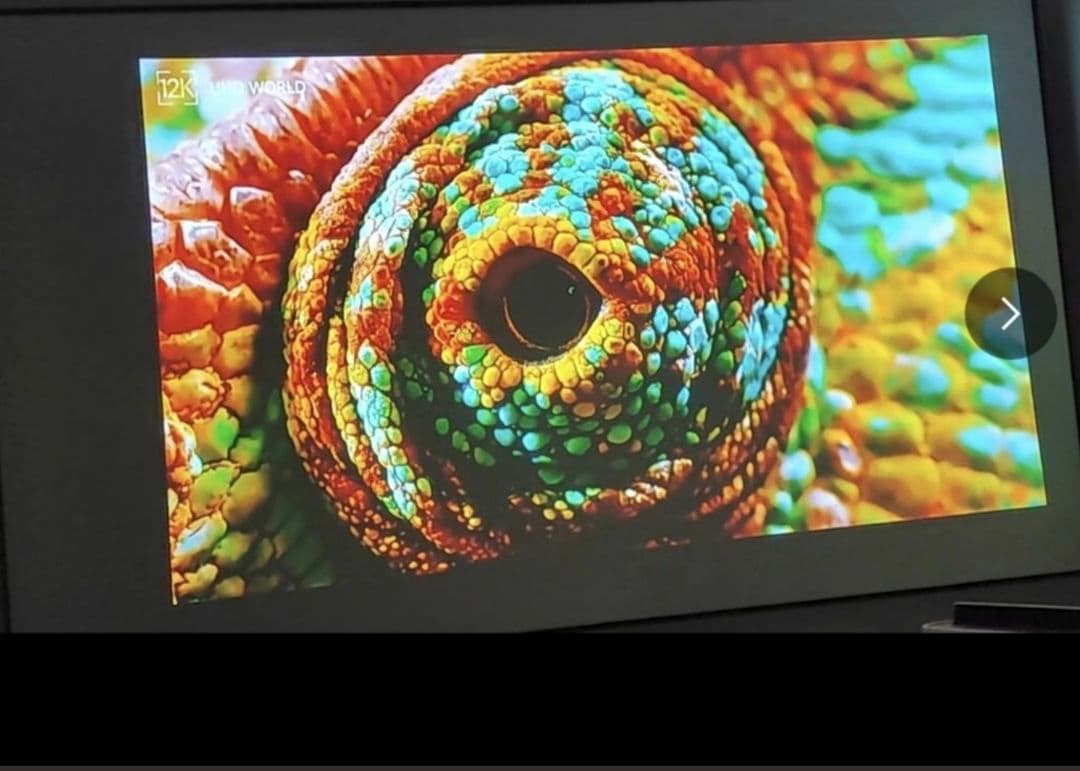 D-ILA DLA-X55R-B プロジェクター本体