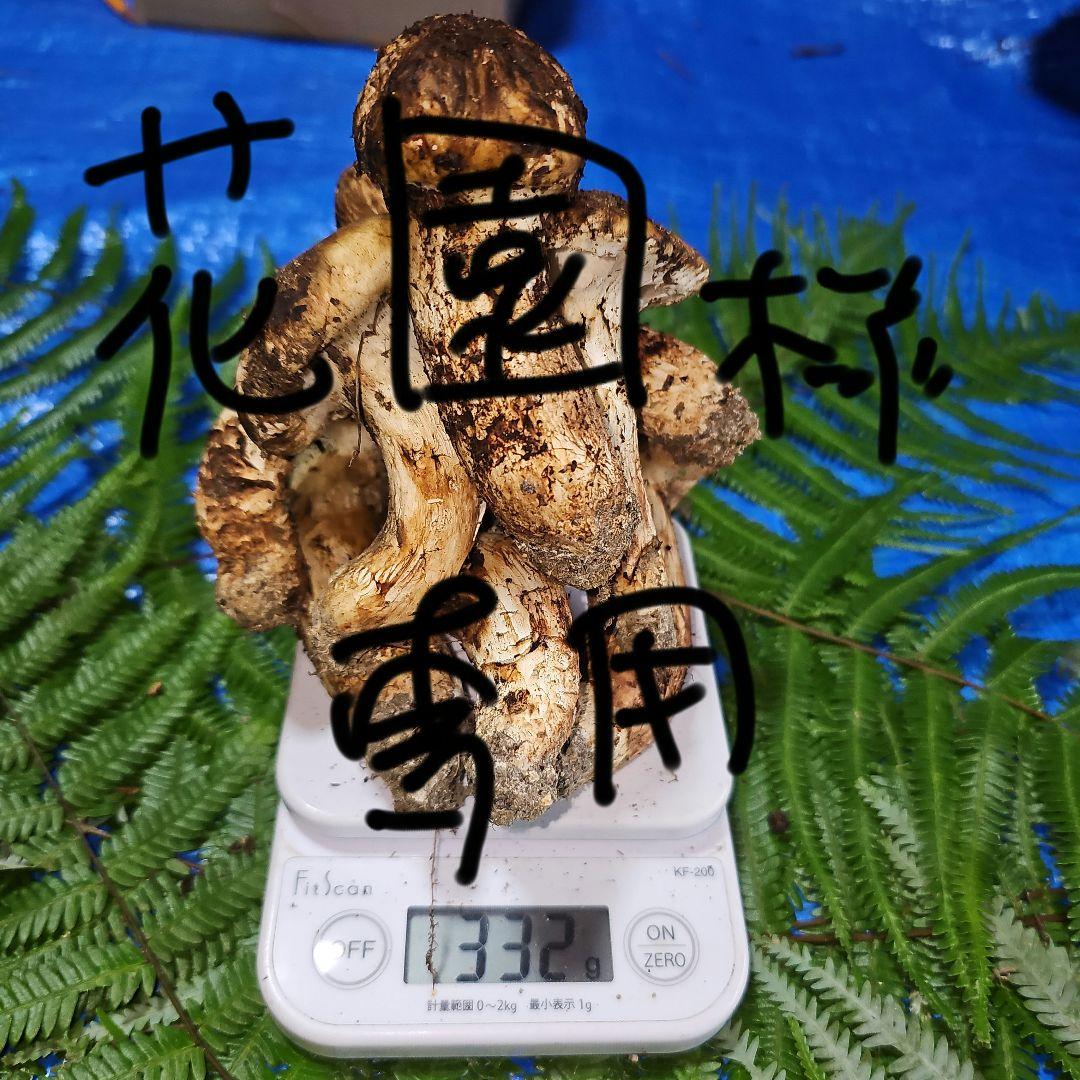 広島県産 松茸 332g　花園さま専用