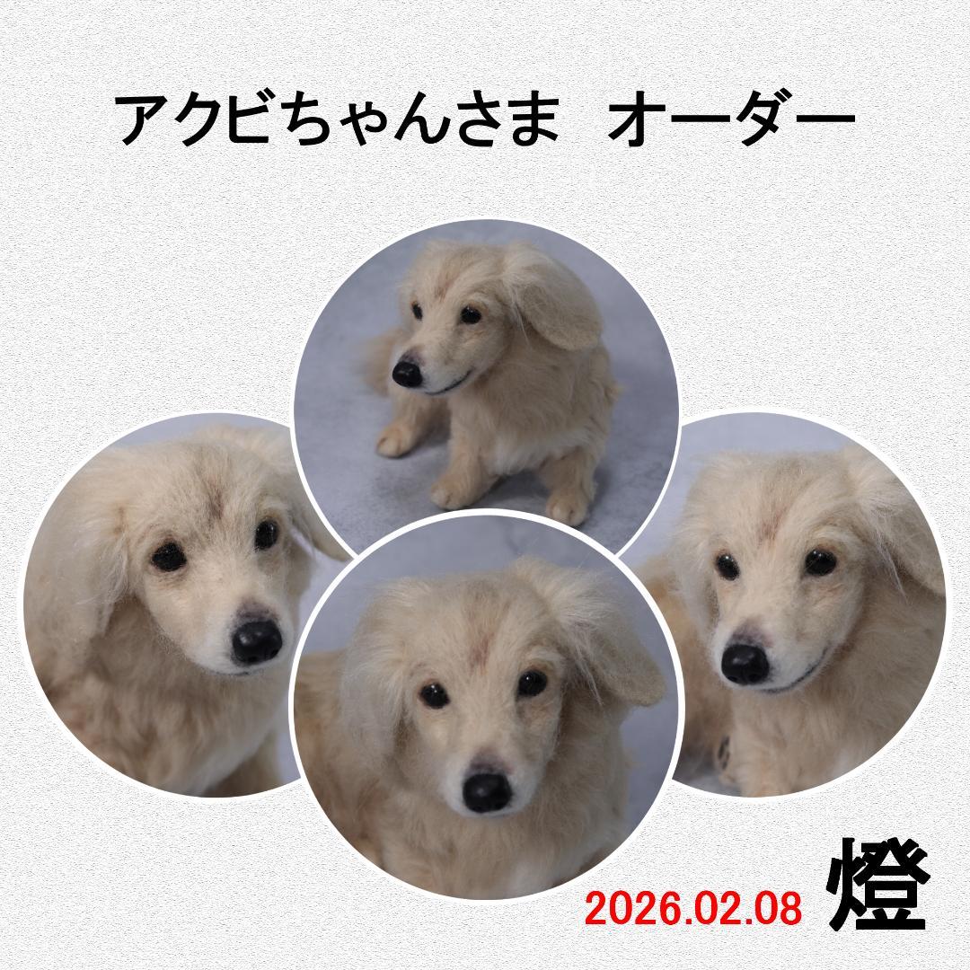 羊毛フェルト　アクビちゃん様　ミニチュアプードル　犬　ハンドメイド　オーダー