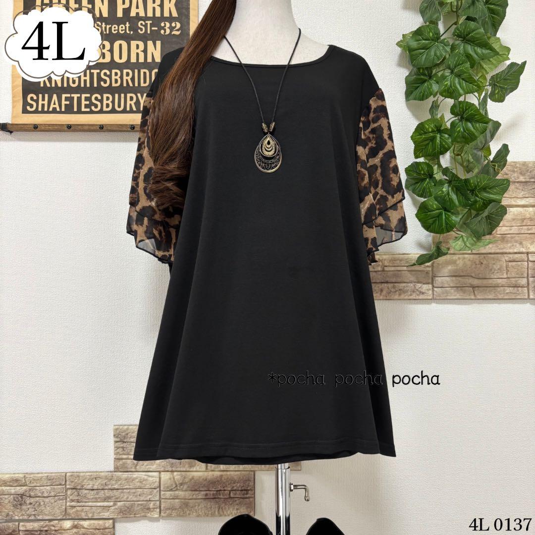 チェリー出品 8点セット