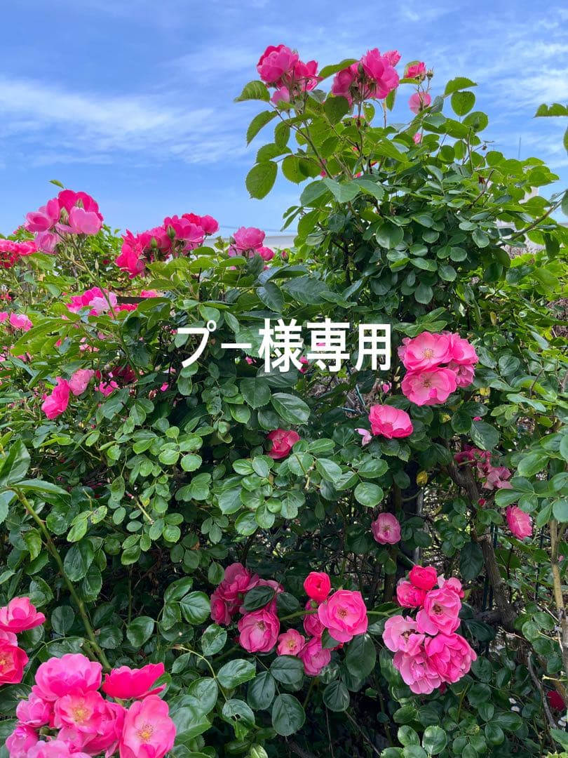 ステンドグラス　一輪挿し