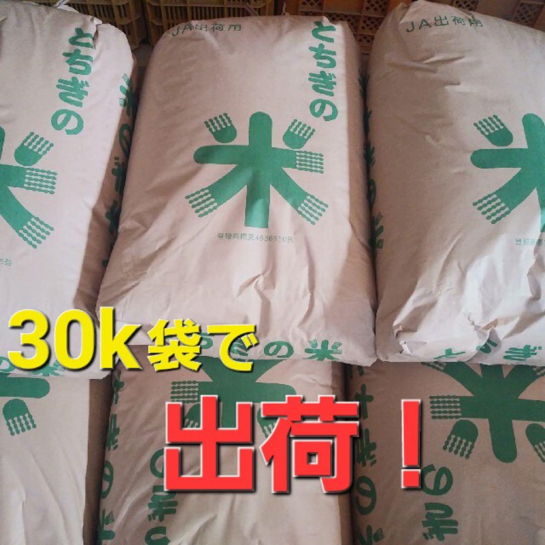 令和7年度　 とちぎの星　玄米　30k