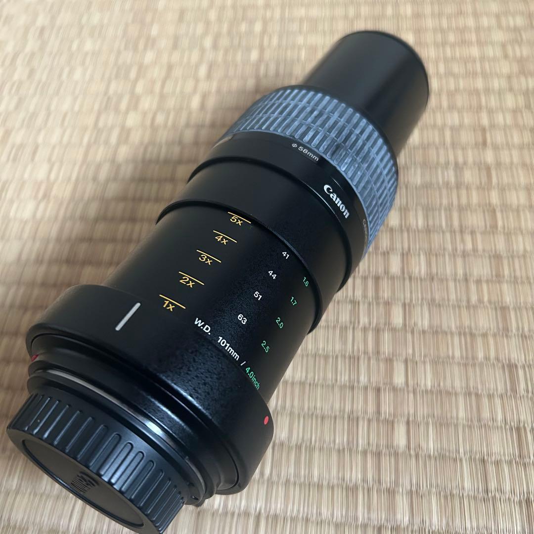 Canon MP-E 65mm マクロフォト