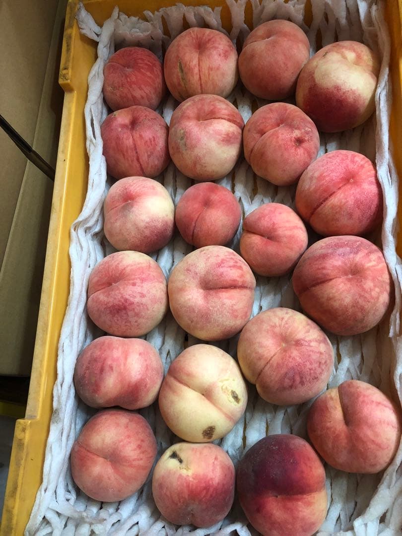 153.早勝ち福島産朝採り完熟桃箱込み15kg訳あり家庭用甘くて美味しい桃常温便