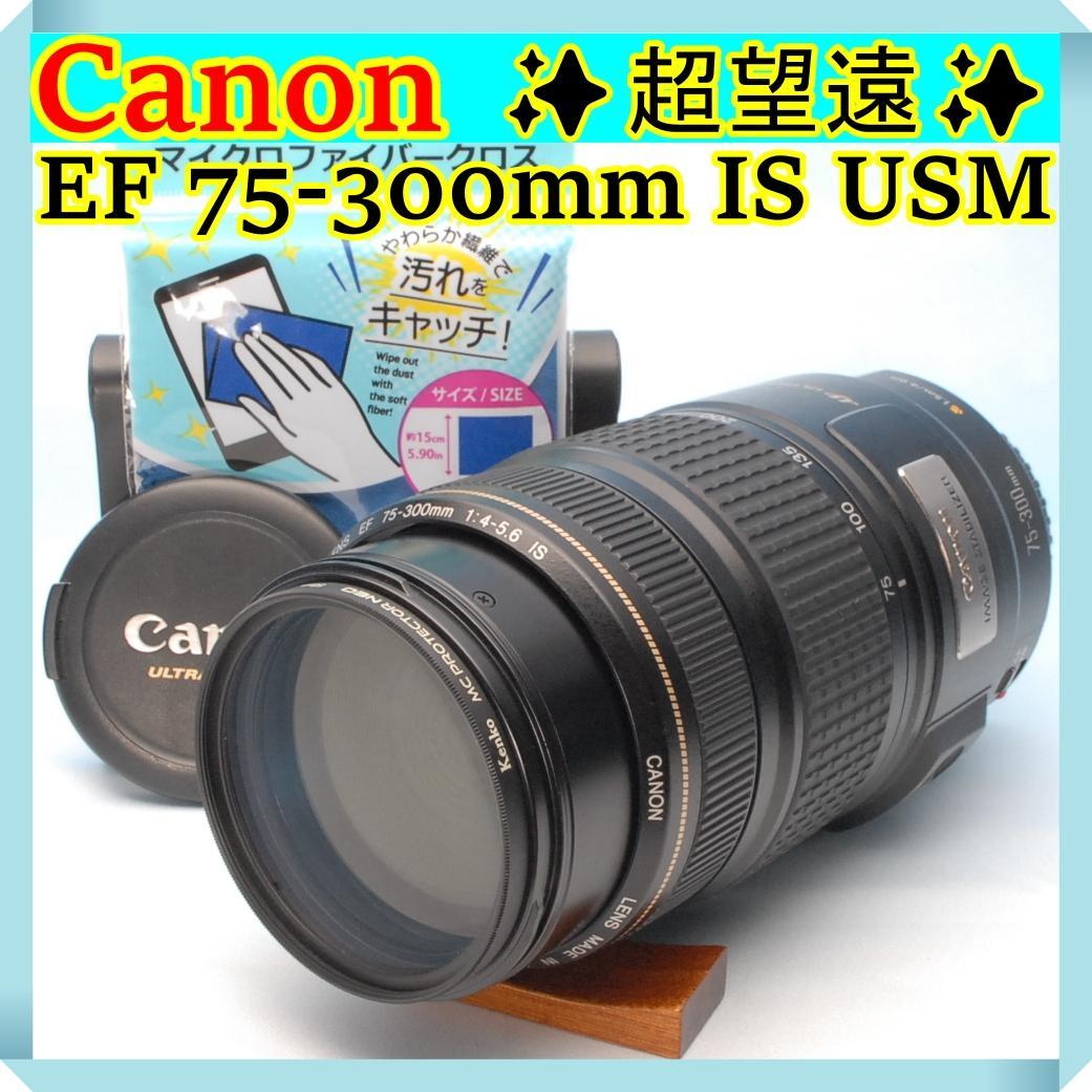 ✨超望遠✨美品 キヤノン 75-300mm IS USM レンズ フィルター付