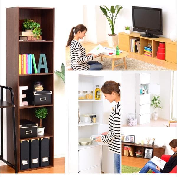 扉付きカラーボックス A4サイズ収納OK