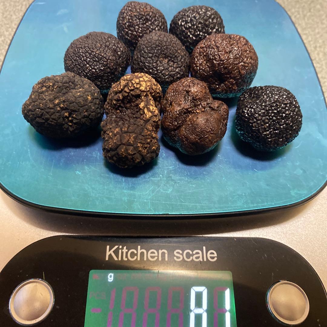 国産　山梨県産　天然黒トリュフ　特大　約81g