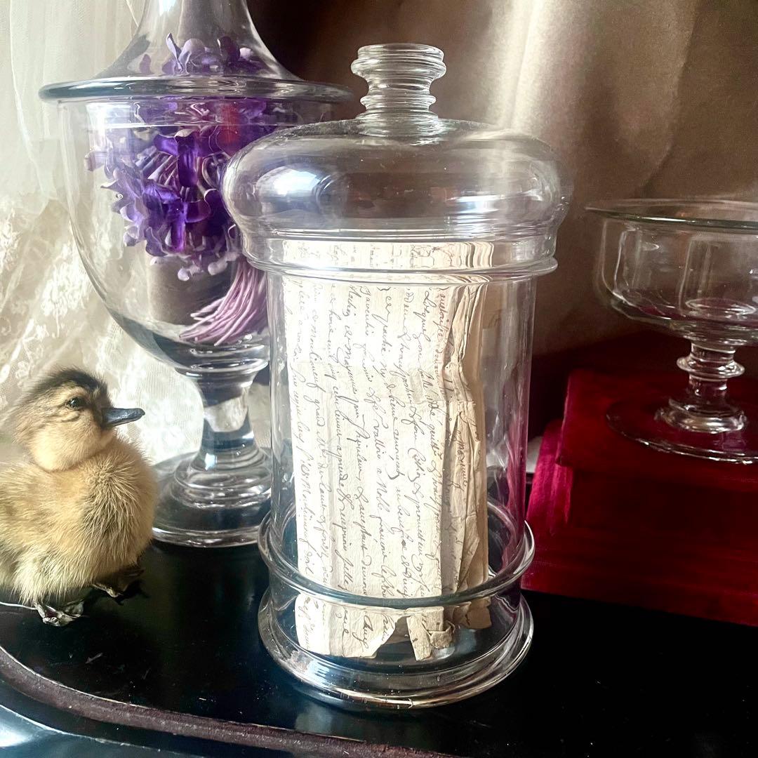 蓋付きファーマシーポット 吹きガラスの標本瓶薬瓶　19世紀 フランスアンティーク