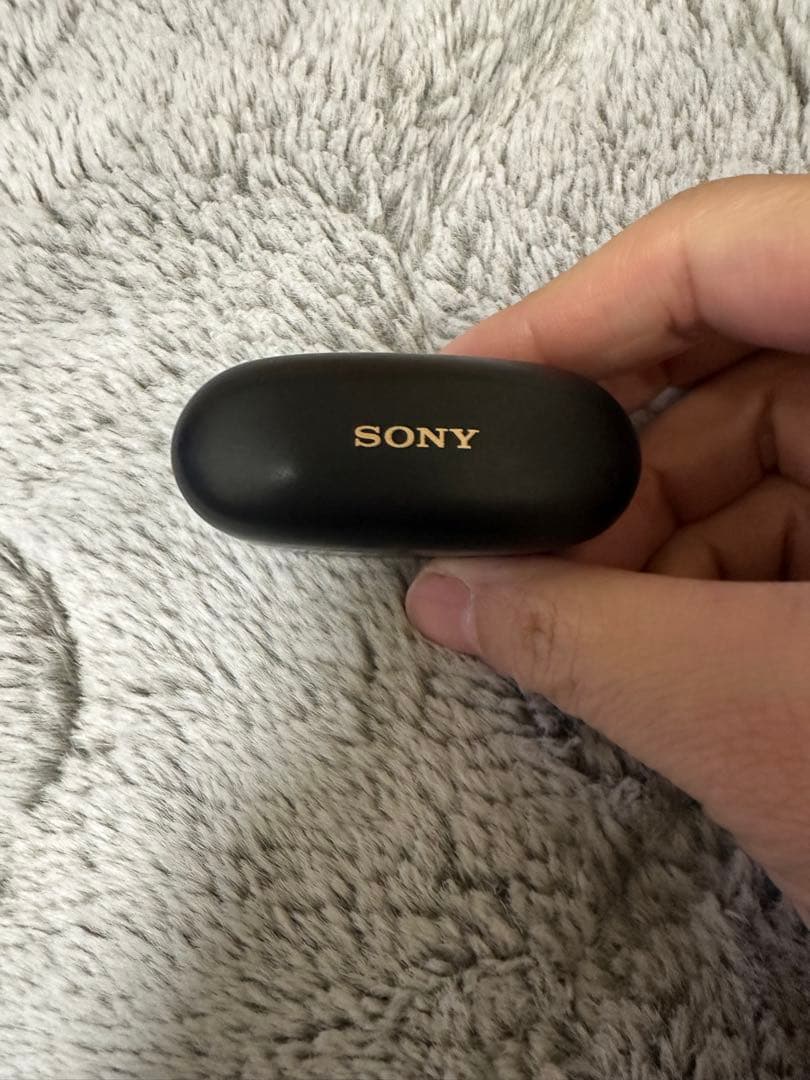 SONYワイヤレスイヤホン