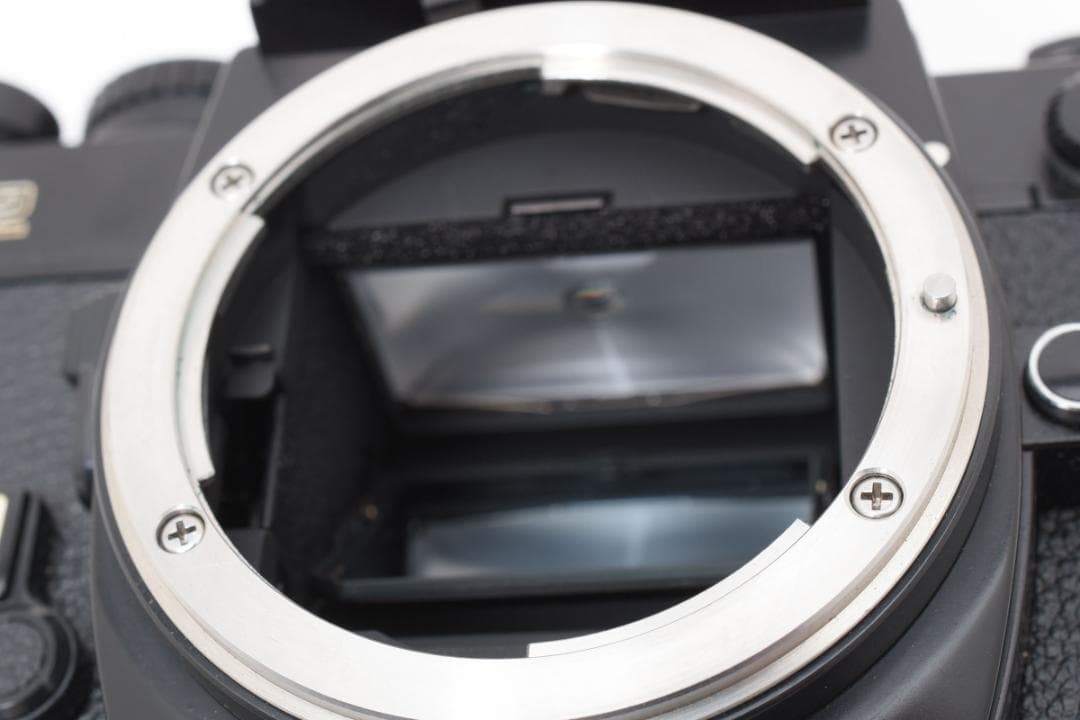 Nikon New FM2 Body ニコン フィルム一眼レフカメラ ボディ