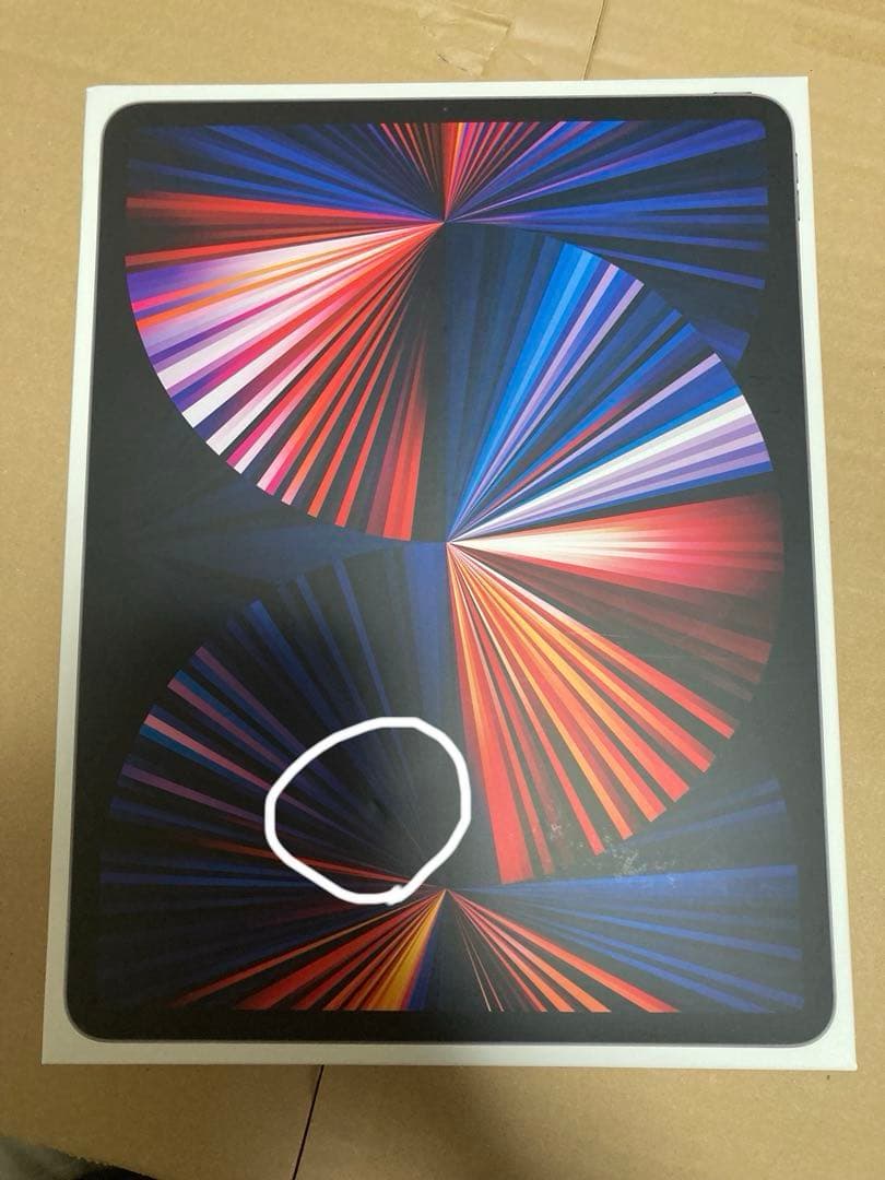 iPad Pro 12.9 (第5世代) M1 256GB SIMフリーモデル