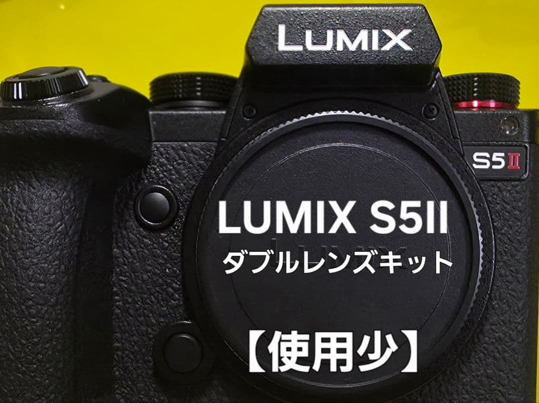 【使用少】 LUMIX S5II ダブルレンズキット 予備バッテリー付