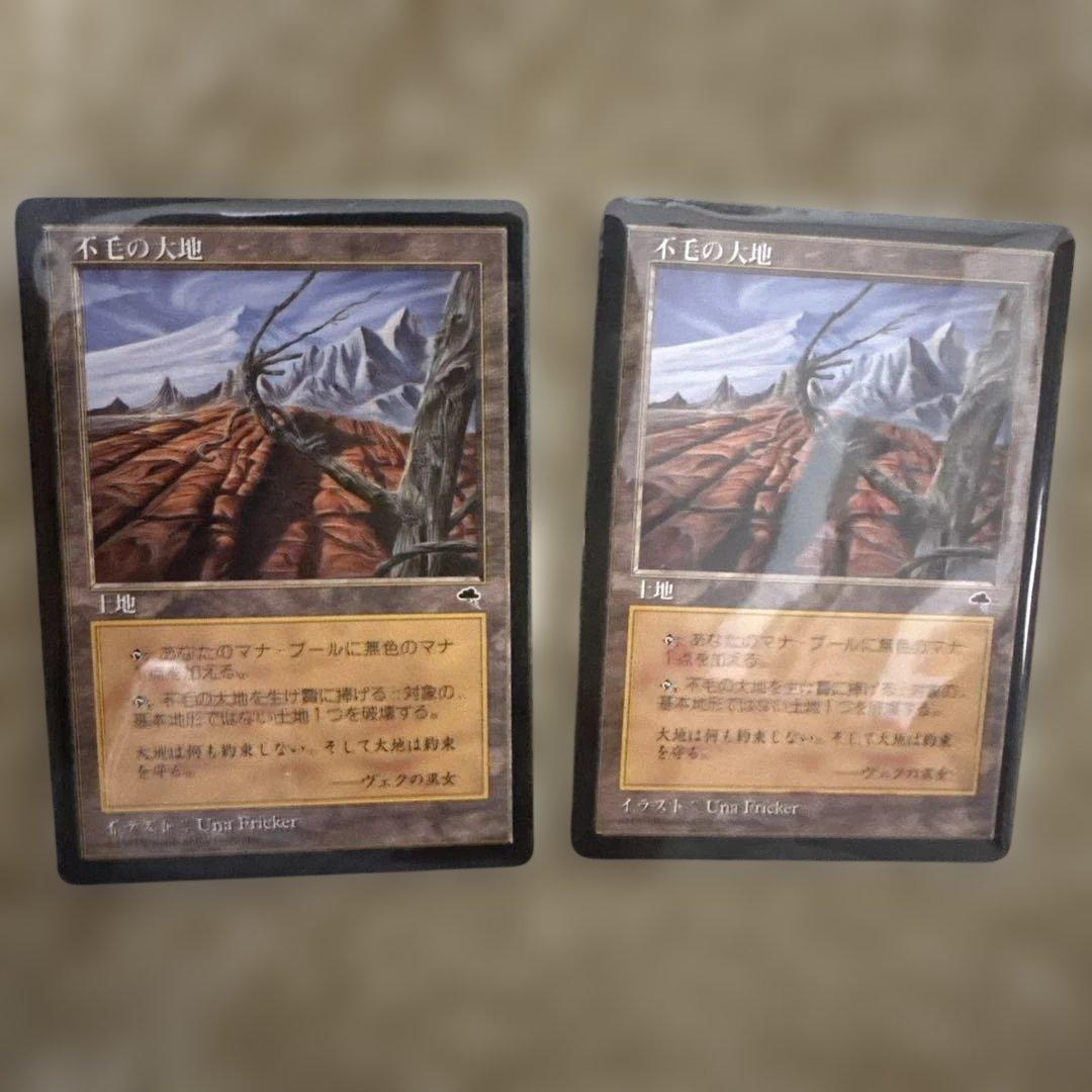 MTG 不毛の大地２枚セット