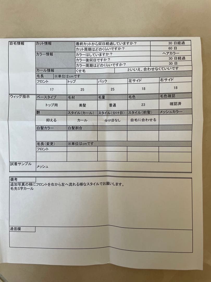 サキナ　特注ウイング