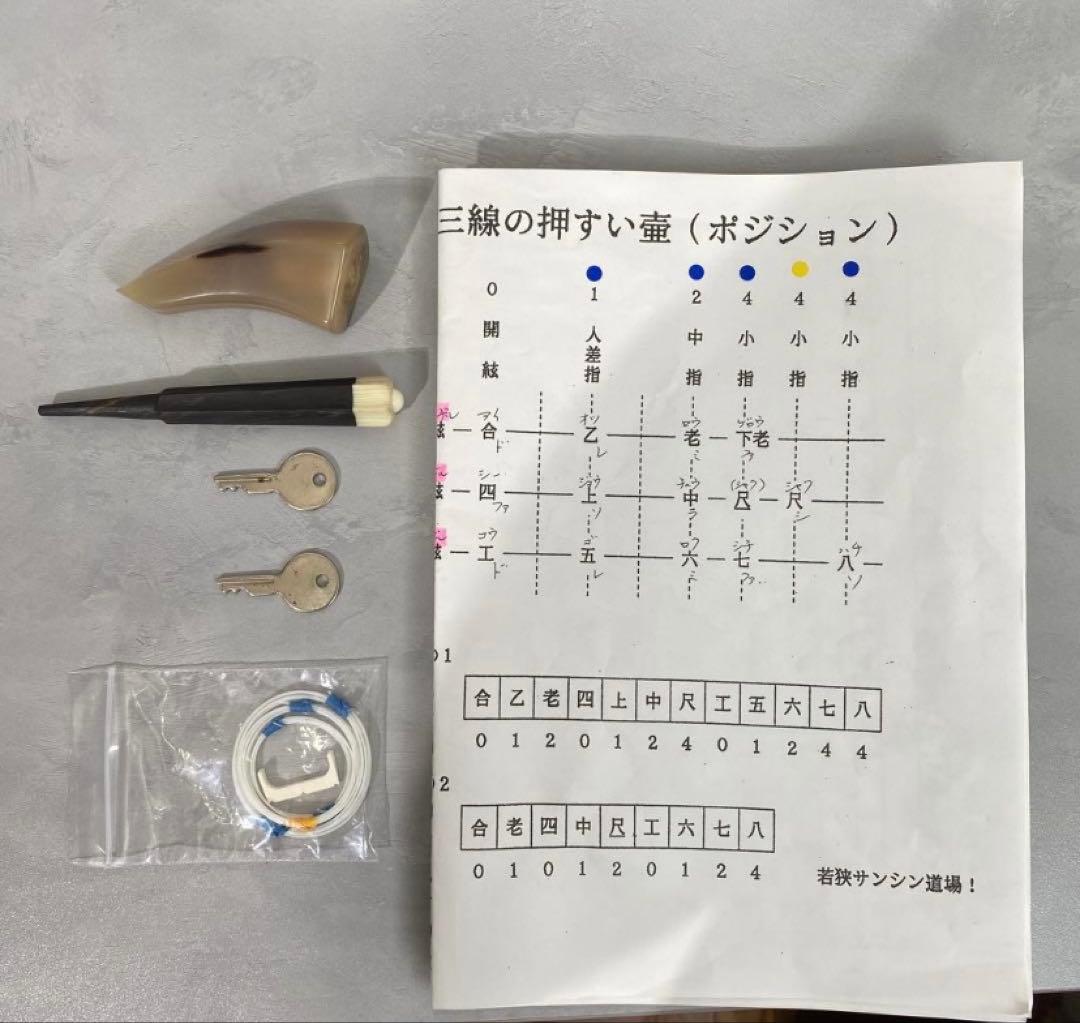 【美品】沖縄三線 三味線 人工革 合皮 ヘビ柄　ハードケース付 民族楽器 弦楽器