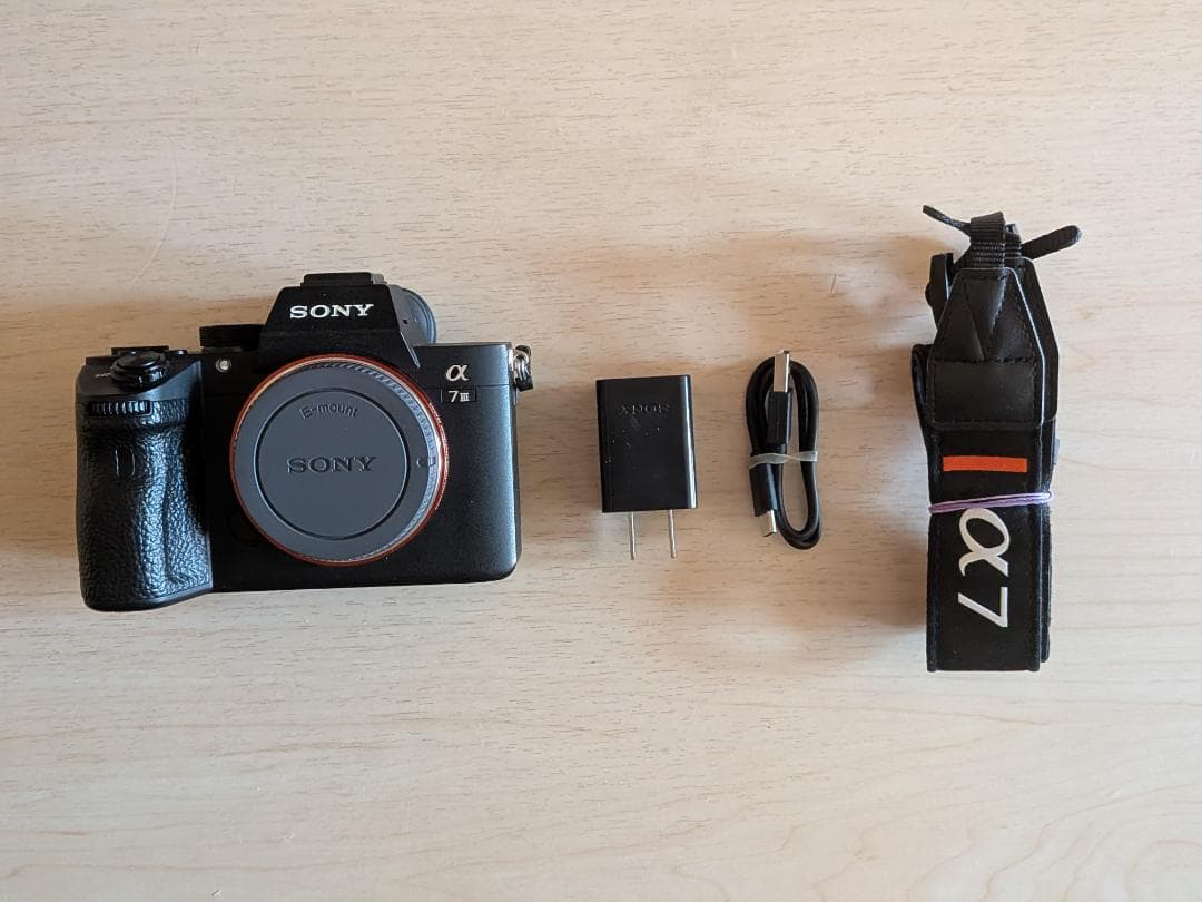 SONYα7Ⅲボディ