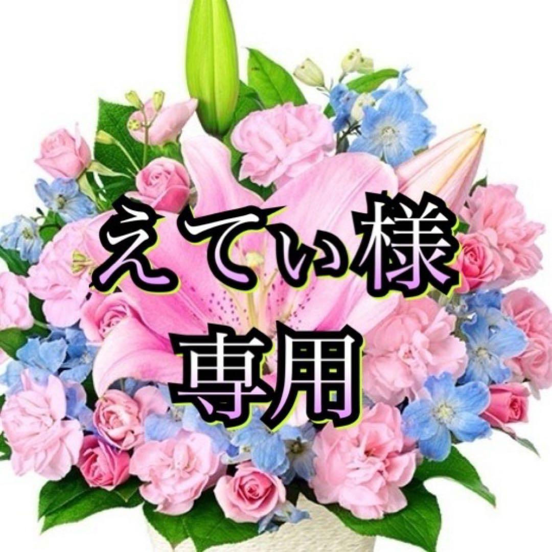 えてぃ　AQUA 冷蔵庫 & IRIS OHYAMA 洗濯機　セット