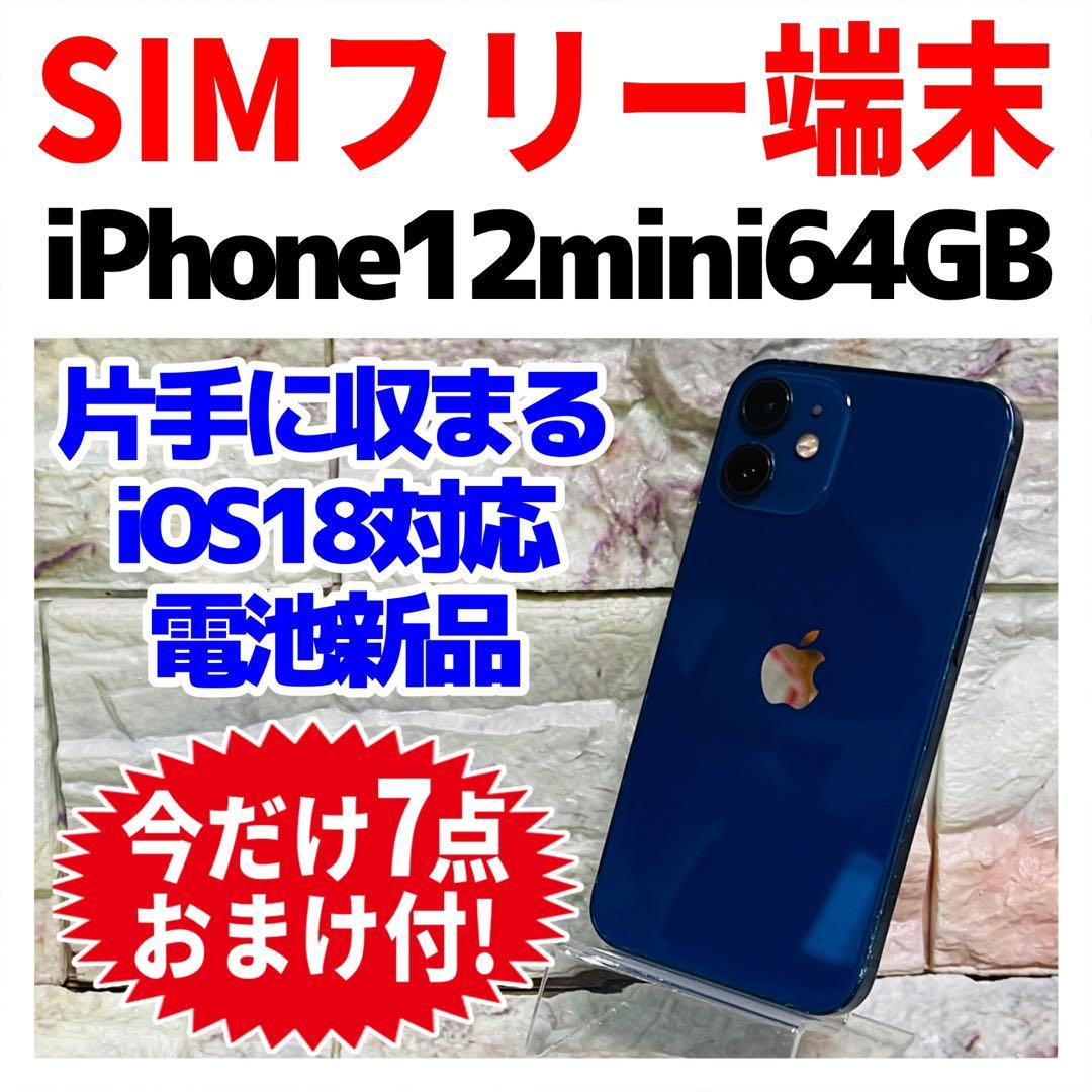 SIMフリー iPhone12mini 64GB ブルー 新品バッテリ－