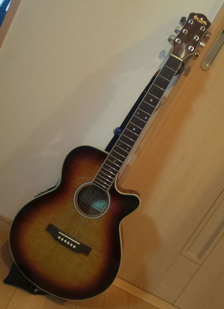 promartin ea500w vs エレアコ　ギター