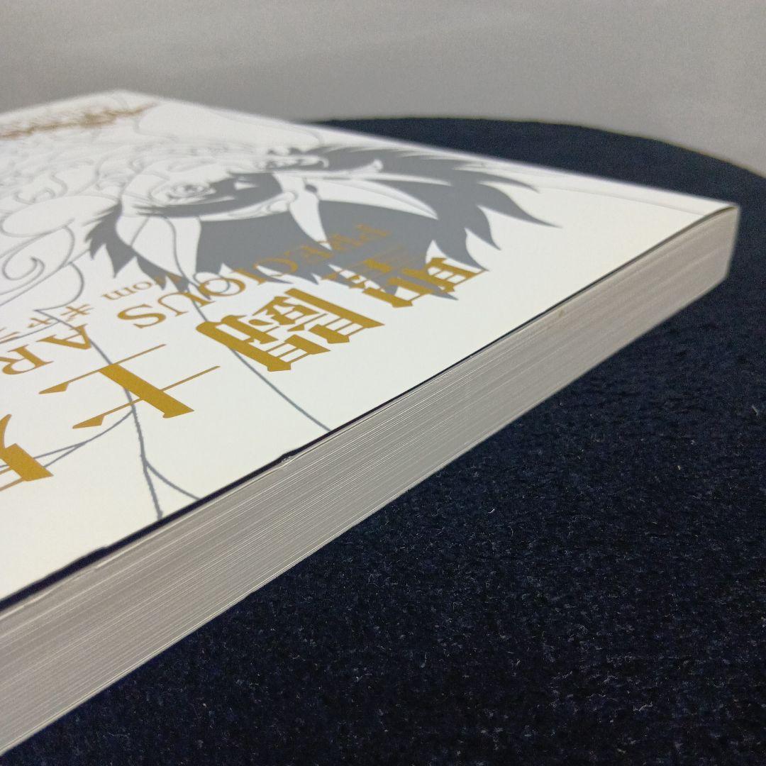 聖闘士星矢　PRECIOUS ARTWORKS fromギャラクシーカードバトル