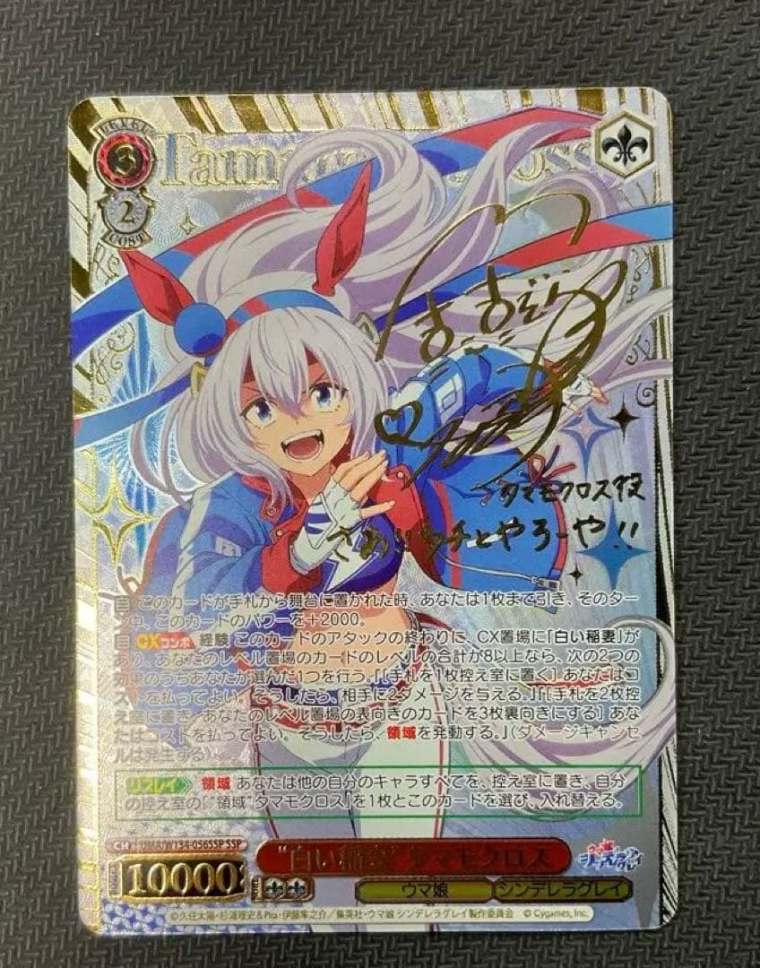 “白い稲妻”タマモクロス SSP