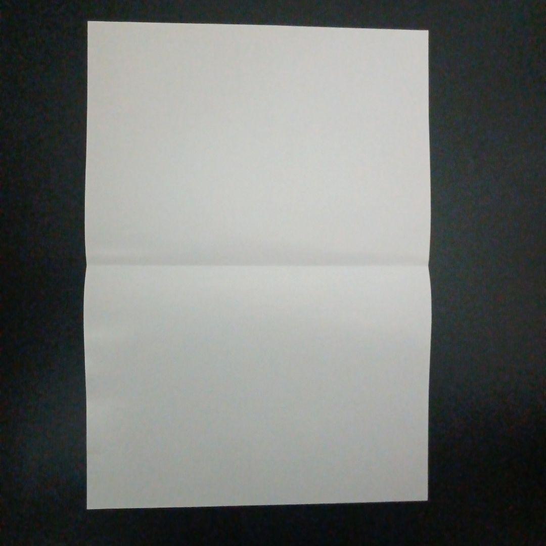 ポケモンカードゲームBW　EXバトルブースト　店舗用ポスター　1枚