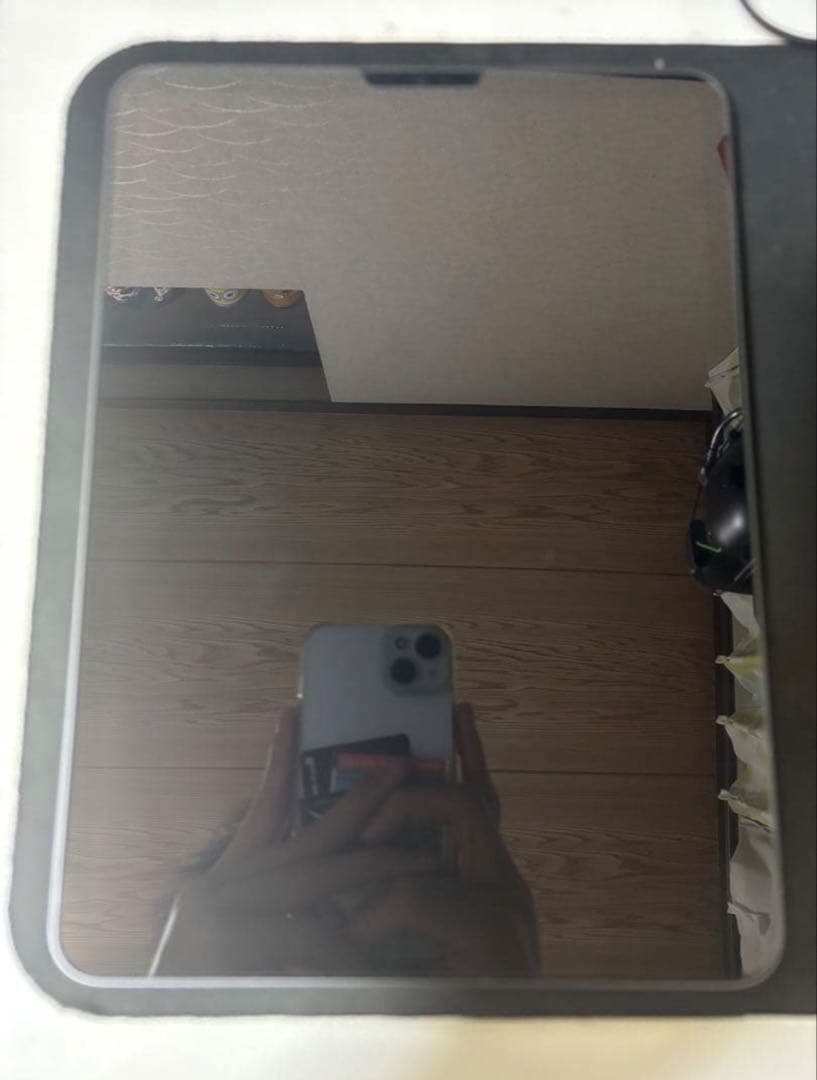 iPad Pro 12.9インチ 5世帯 256GB