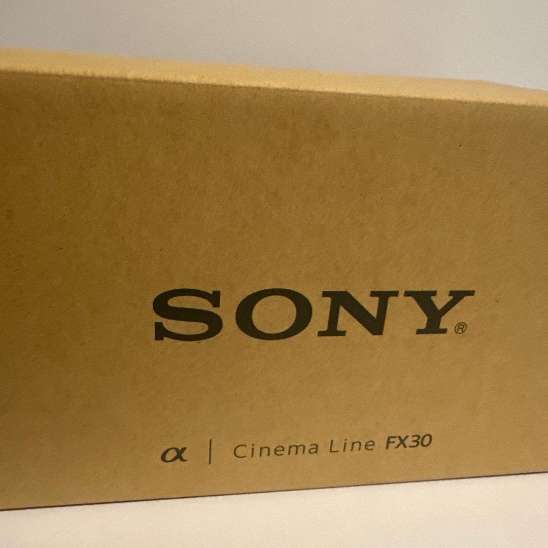 ソニー　SONY FX30B ボディ