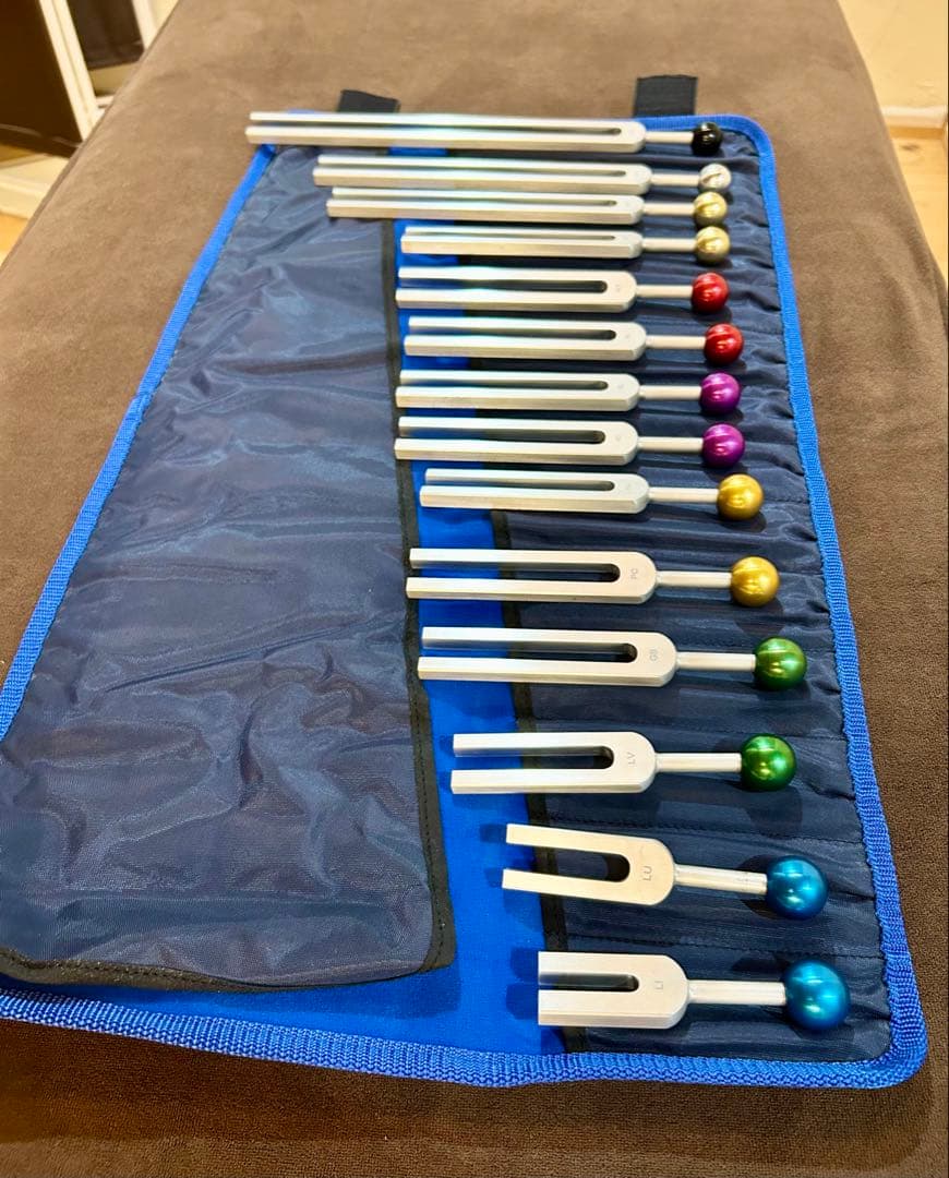 アラン・セールス　経絡音叉14本セット