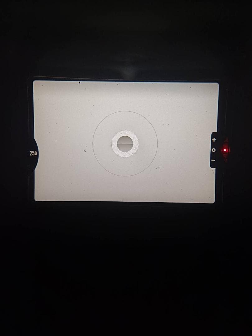 美品 NIKON FM シルバー フィルムカメラ　モルト新品交換済 H025