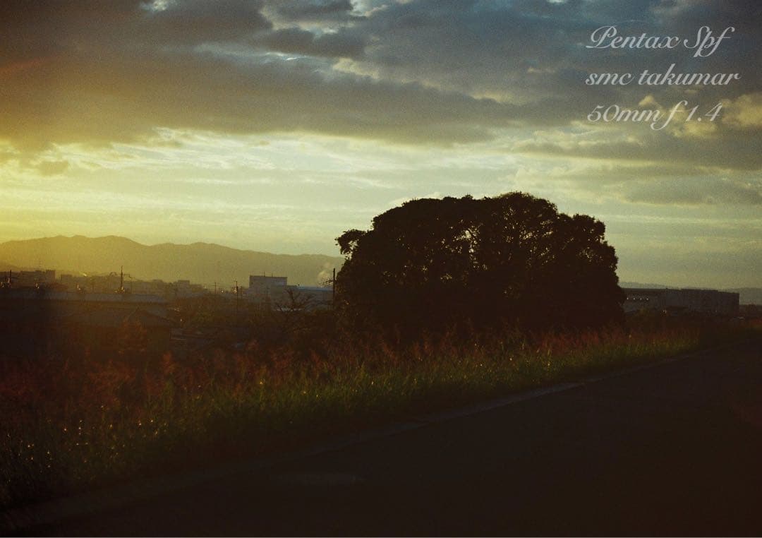 ★入門に！ペンタックスSPF/タクマーf1.4★初期保証＊作例多数＊美品＊完動品