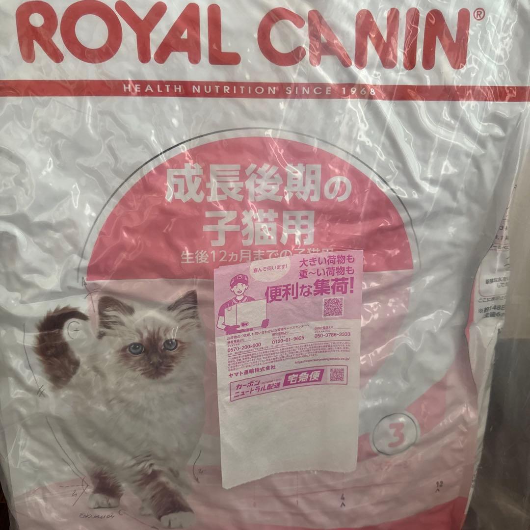 ロイヤルカナン成長後期 カリカリ キトン　10kg