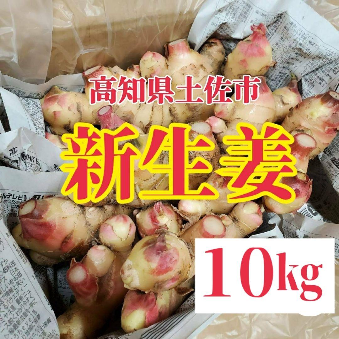 ☆10kg新生姜(土付き)