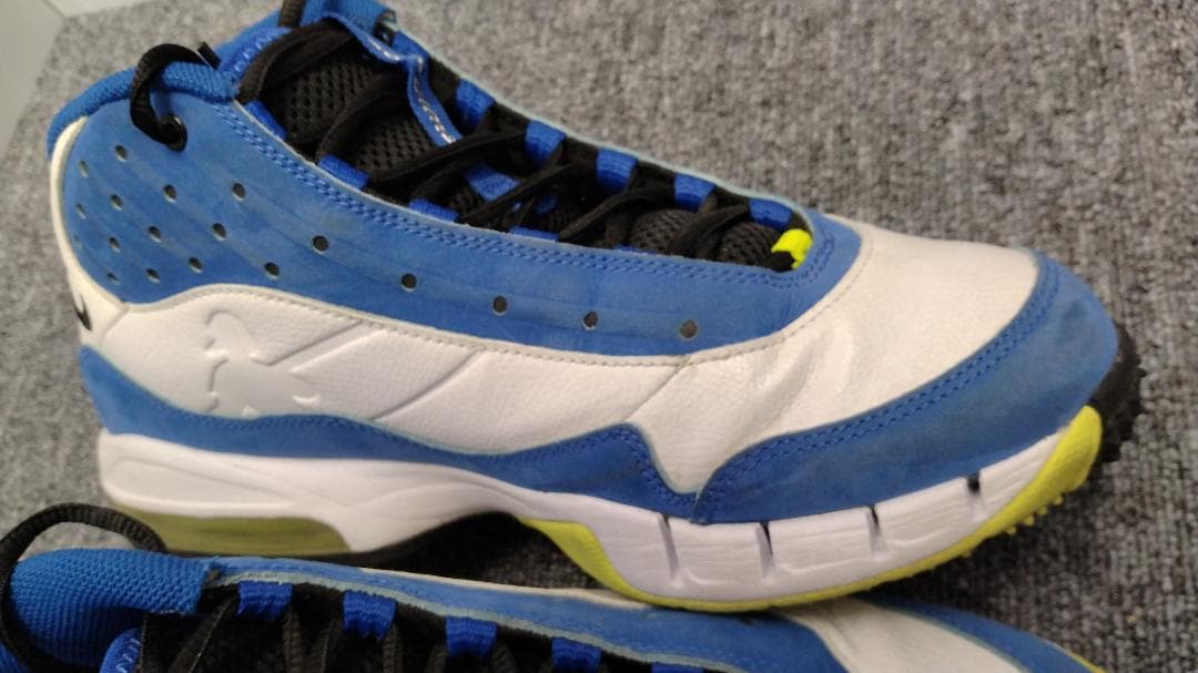 【中古・未発売 26cm】Nike Air Max Swingman Remix