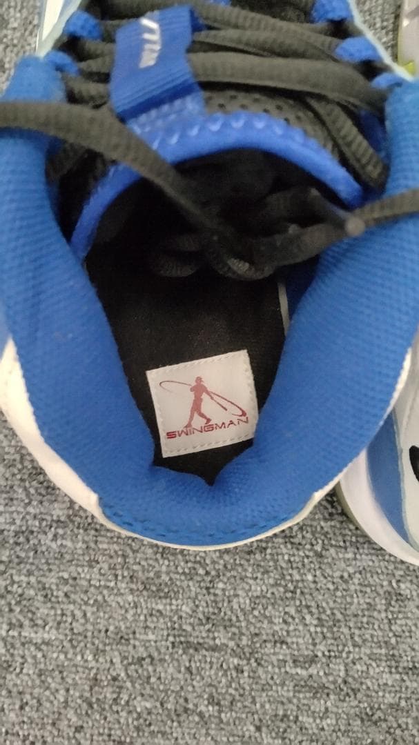 【中古・未発売 26cm】Nike Air Max Swingman Remix