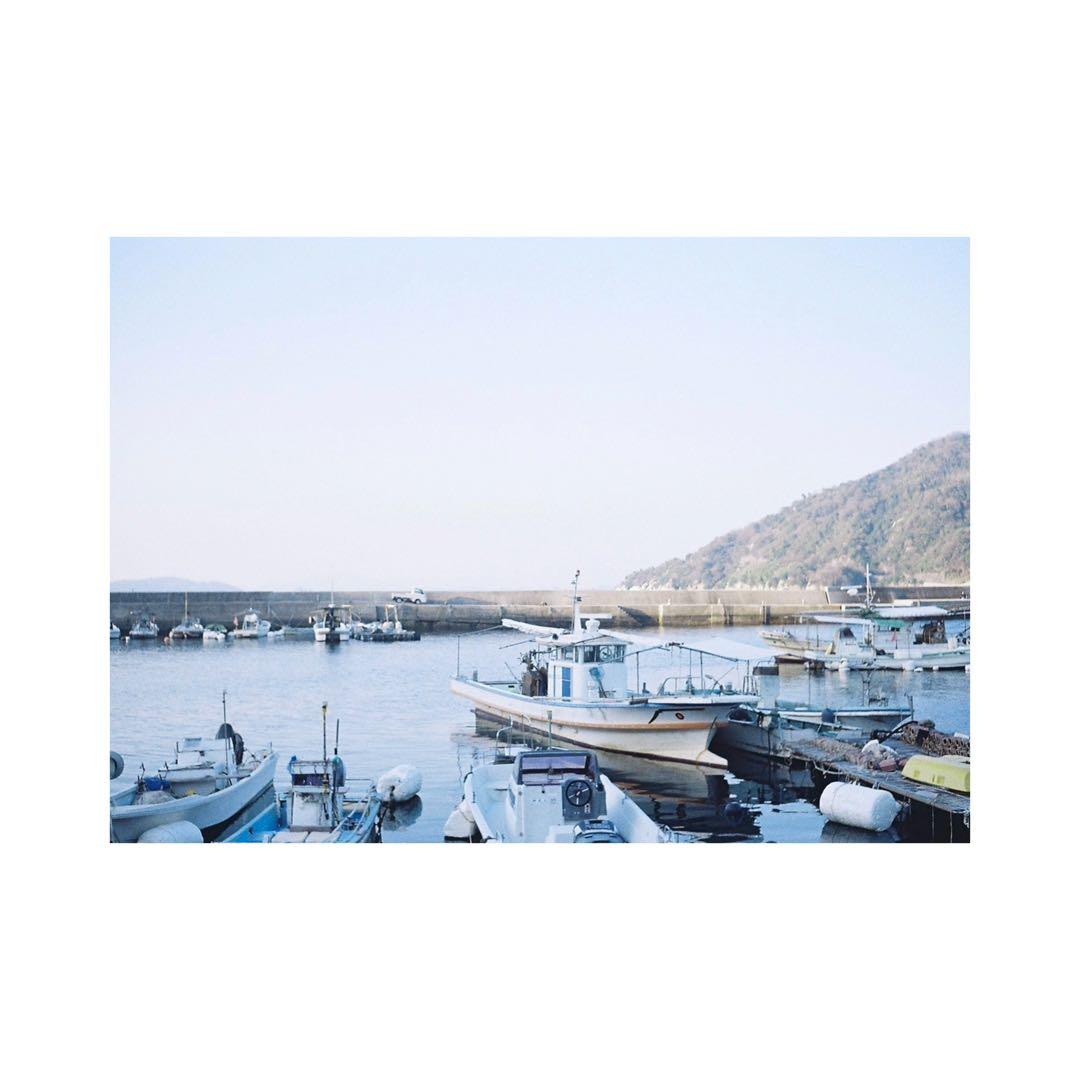 ⌘ オーバーホール済み、完動品！ 作例あり！ OLYMPUS TRIP35⌘