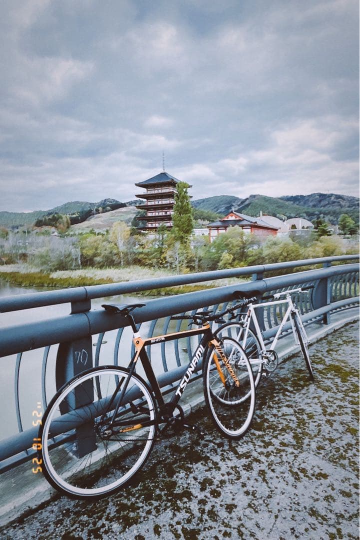 tsunami フレームセット