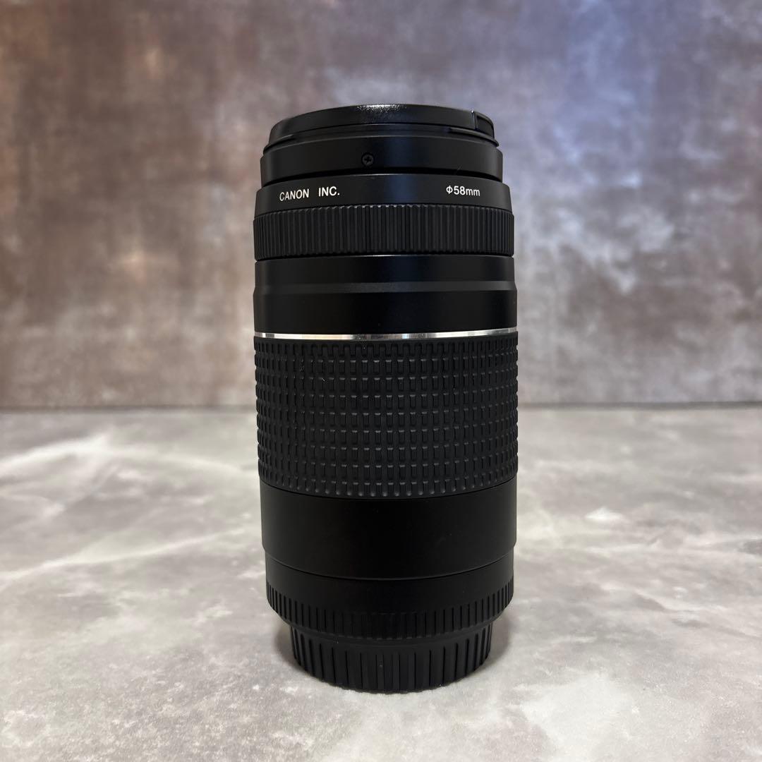 【極上・完動品】Canon EF 75-300mm Ⅲズームレンズ