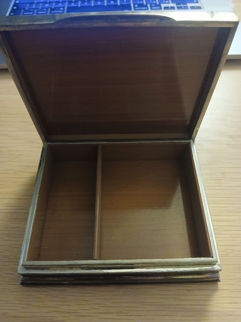 希少なテスト済み880シルバータイサイアムニエロボックス