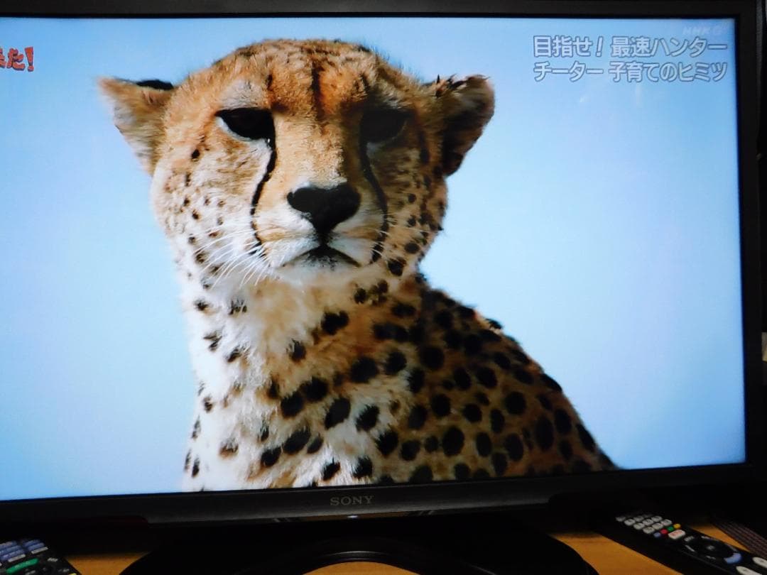 ソニーKJ-32W730E32型2020年製　動作正常　美品　フルハイビジョン