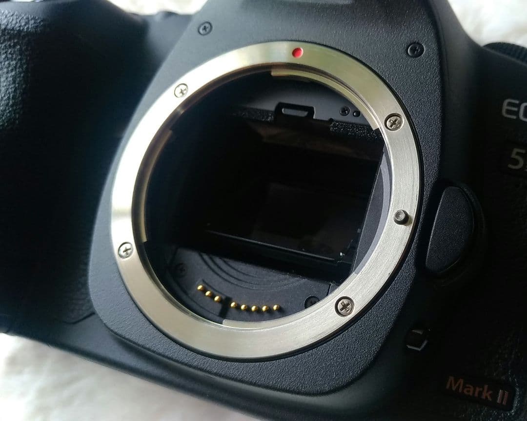 Canon EOS 5D Mark II　レンズ付き　シャッター回数少なめ！美品